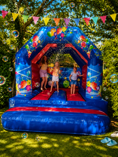 Vibrant castle party packages